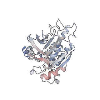 16224_8bsc_B_v1-1
CryoEM structure of the RAD51 nucleoprotein filament in the presence of ADP and Ca2+