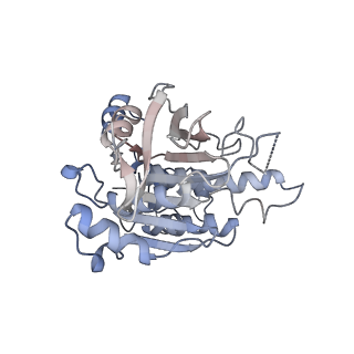 16224_8bsc_C_v1-1
CryoEM structure of the RAD51 nucleoprotein filament in the presence of ADP and Ca2+