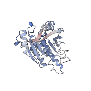 16224_8bsc_D_v1-1
CryoEM structure of the RAD51 nucleoprotein filament in the presence of ADP and Ca2+