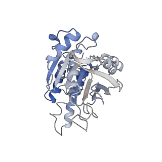 16224_8bsc_E_v1-1
CryoEM structure of the RAD51 nucleoprotein filament in the presence of ADP and Ca2+