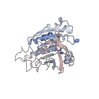 16224_8bsc_F_v1-1
CryoEM structure of the RAD51 nucleoprotein filament in the presence of ADP and Ca2+