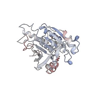 16224_8bsc_G_v1-1
CryoEM structure of the RAD51 nucleoprotein filament in the presence of ADP and Ca2+
