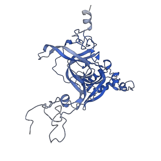 16225_8bsi_LB_v1-2
Giardia ribosome chimeric hybrid-like GDP+Pi bound state (B1)