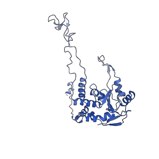 16225_8bsi_LC_v1-2
Giardia ribosome chimeric hybrid-like GDP+Pi bound state (B1)