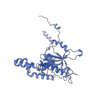 16225_8bsi_LF_v1-2
Giardia ribosome chimeric hybrid-like GDP+Pi bound state (B1)