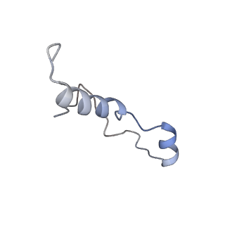 16225_8bsi_LG_v1-2
Giardia ribosome chimeric hybrid-like GDP+Pi bound state (B1)