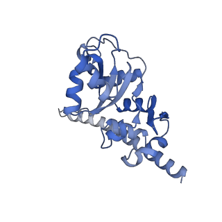 16225_8bsi_LH_v1-2
Giardia ribosome chimeric hybrid-like GDP+Pi bound state (B1)