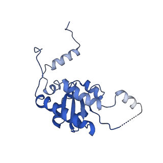 16225_8bsi_LI_v1-2
Giardia ribosome chimeric hybrid-like GDP+Pi bound state (B1)