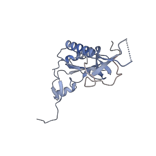 16225_8bsi_LK_v1-2
Giardia ribosome chimeric hybrid-like GDP+Pi bound state (B1)