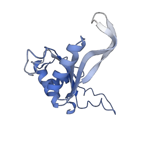 16225_8bsi_LL_v1-2
Giardia ribosome chimeric hybrid-like GDP+Pi bound state (B1)