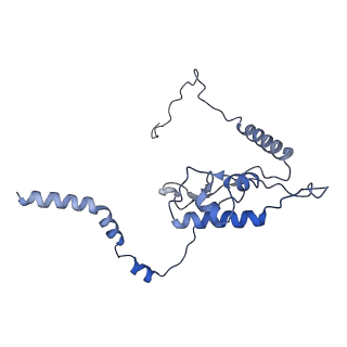 16225_8bsi_LM_v1-2
Giardia ribosome chimeric hybrid-like GDP+Pi bound state (B1)