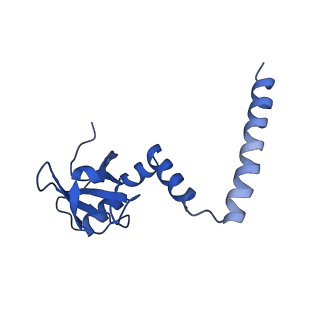 16225_8bsi_LN_v1-2
Giardia ribosome chimeric hybrid-like GDP+Pi bound state (B1)