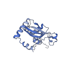 16225_8bsi_LO_v1-2
Giardia ribosome chimeric hybrid-like GDP+Pi bound state (B1)