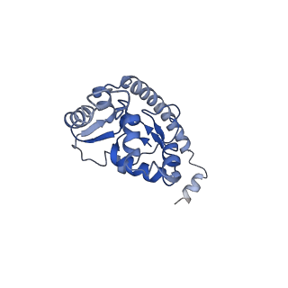 16225_8bsi_LP_v1-2
Giardia ribosome chimeric hybrid-like GDP+Pi bound state (B1)