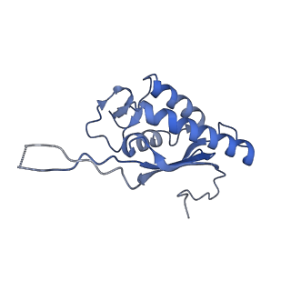 16225_8bsi_LQ_v1-2
Giardia ribosome chimeric hybrid-like GDP+Pi bound state (B1)