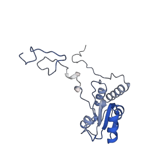 16225_8bsi_LR_v1-2
Giardia ribosome chimeric hybrid-like GDP+Pi bound state (B1)