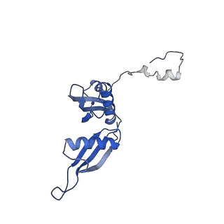 16225_8bsi_LT_v1-2
Giardia ribosome chimeric hybrid-like GDP+Pi bound state (B1)