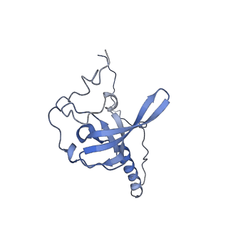 16225_8bsi_LU_v1-2
Giardia ribosome chimeric hybrid-like GDP+Pi bound state (B1)