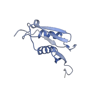 16225_8bsi_LV_v1-2
Giardia ribosome chimeric hybrid-like GDP+Pi bound state (B1)