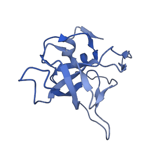16225_8bsi_LW_v1-2
Giardia ribosome chimeric hybrid-like GDP+Pi bound state (B1)