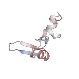 16225_8bsi_LX_v1-2
Giardia ribosome chimeric hybrid-like GDP+Pi bound state (B1)
