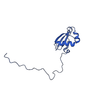 16225_8bsi_LY_v1-2
Giardia ribosome chimeric hybrid-like GDP+Pi bound state (B1)
