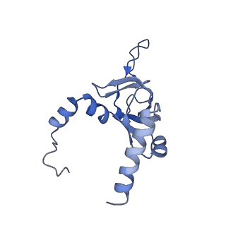 16225_8bsi_LZ_v1-2
Giardia ribosome chimeric hybrid-like GDP+Pi bound state (B1)