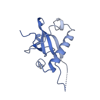 16225_8bsi_La_v1-2
Giardia ribosome chimeric hybrid-like GDP+Pi bound state (B1)