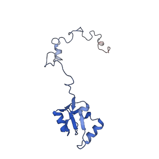 16225_8bsi_Lb_v1-2
Giardia ribosome chimeric hybrid-like GDP+Pi bound state (B1)