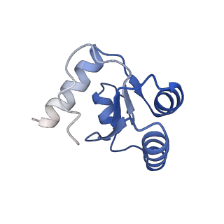 16225_8bsi_Ld_v1-2
Giardia ribosome chimeric hybrid-like GDP+Pi bound state (B1)