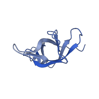 16225_8bsi_Lg_v1-2
Giardia ribosome chimeric hybrid-like GDP+Pi bound state (B1)