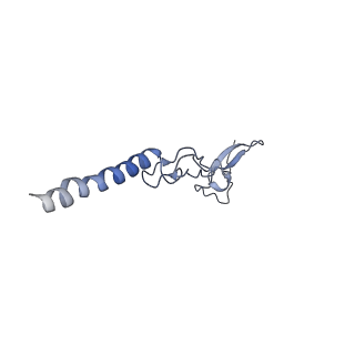 16225_8bsi_Lh_v1-2
Giardia ribosome chimeric hybrid-like GDP+Pi bound state (B1)