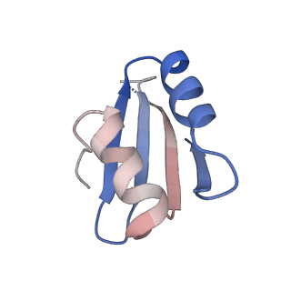 16225_8bsi_Ll_v1-2
Giardia ribosome chimeric hybrid-like GDP+Pi bound state (B1)