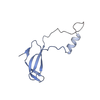 16225_8bsi_Lp_v1-2
Giardia ribosome chimeric hybrid-like GDP+Pi bound state (B1)