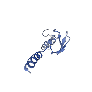 16225_8bsi_Lq_v1-2
Giardia ribosome chimeric hybrid-like GDP+Pi bound state (B1)