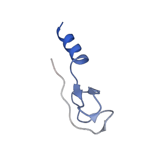 16225_8bsi_Ls_v1-2
Giardia ribosome chimeric hybrid-like GDP+Pi bound state (B1)
