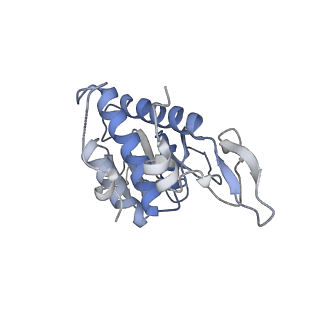 16225_8bsi_SA_v1-2
Giardia ribosome chimeric hybrid-like GDP+Pi bound state (B1)