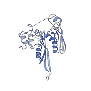 16225_8bsi_SB_v1-2
Giardia ribosome chimeric hybrid-like GDP+Pi bound state (B1)