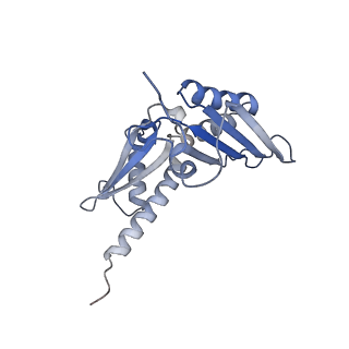 16225_8bsi_SC_v1-2
Giardia ribosome chimeric hybrid-like GDP+Pi bound state (B1)