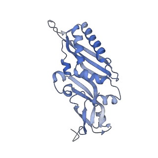 16225_8bsi_SD_v1-2
Giardia ribosome chimeric hybrid-like GDP+Pi bound state (B1)