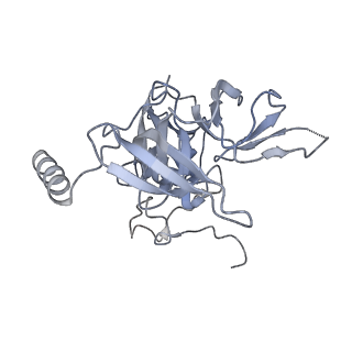 16225_8bsi_SE_v1-2
Giardia ribosome chimeric hybrid-like GDP+Pi bound state (B1)