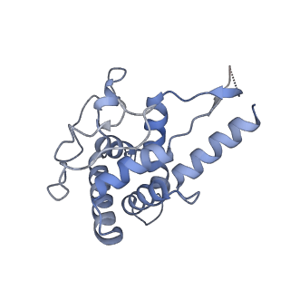 16225_8bsi_SF_v1-2
Giardia ribosome chimeric hybrid-like GDP+Pi bound state (B1)