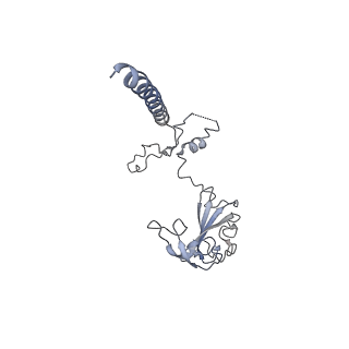 16225_8bsi_SG_v1-2
Giardia ribosome chimeric hybrid-like GDP+Pi bound state (B1)