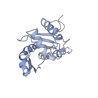 16225_8bsi_SH_v1-2
Giardia ribosome chimeric hybrid-like GDP+Pi bound state (B1)
