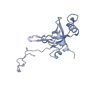 16225_8bsi_SI_v1-2
Giardia ribosome chimeric hybrid-like GDP+Pi bound state (B1)