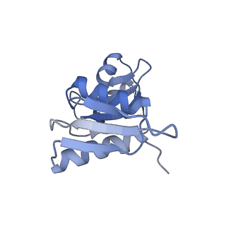 16225_8bsi_SJ_v1-2
Giardia ribosome chimeric hybrid-like GDP+Pi bound state (B1)