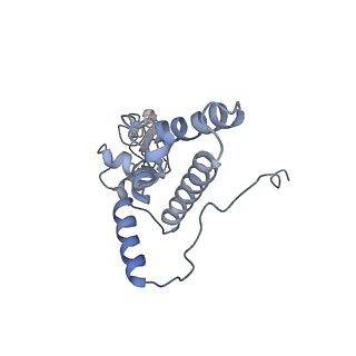 16225_8bsi_SK_v1-2
Giardia ribosome chimeric hybrid-like GDP+Pi bound state (B1)