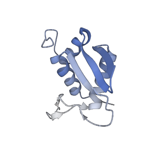 16225_8bsi_SL_v1-2
Giardia ribosome chimeric hybrid-like GDP+Pi bound state (B1)