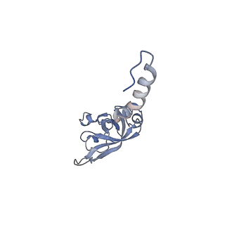 16225_8bsi_SO_v1-2
Giardia ribosome chimeric hybrid-like GDP+Pi bound state (B1)