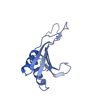 16225_8bsi_SQ_v1-2
Giardia ribosome chimeric hybrid-like GDP+Pi bound state (B1)